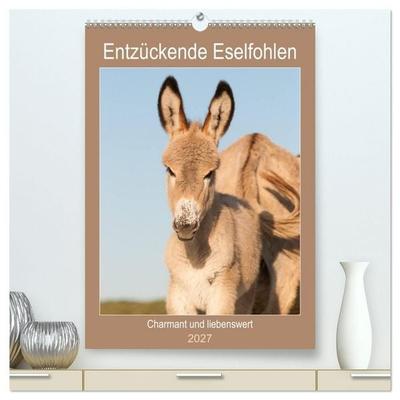 Entzückende Esel - Charmant und liebenswert (hochwertiger Premium Wandkalender 2027 DIN A2 hoch), Kunstdruck in Hochglanz