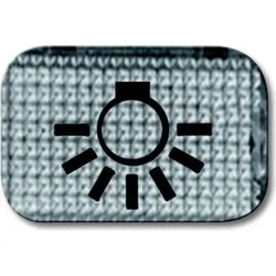 Busch-Jaeger Tastersymbol Licht 2145 LI