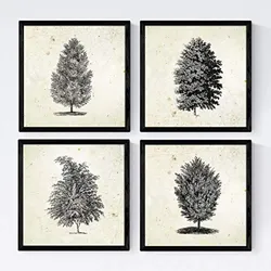 POSTER Set mit 4 Blättern der Bäume Sehr fondosos 30x30 cm Rahmenlos