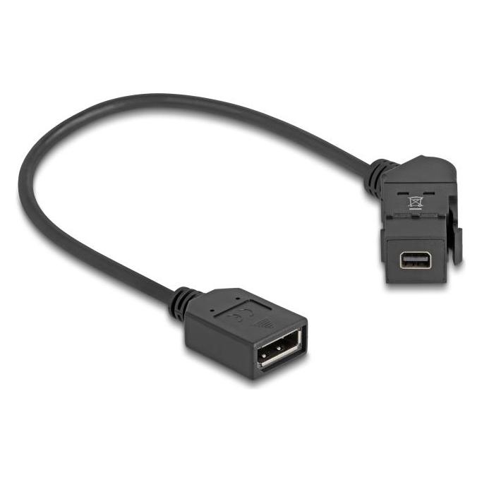 Delock 67155 - Keystone Modul Mini DisplayPort Einbaubuchse zu DisplayPort Buchse 45 gew (0.30 m) (67155)