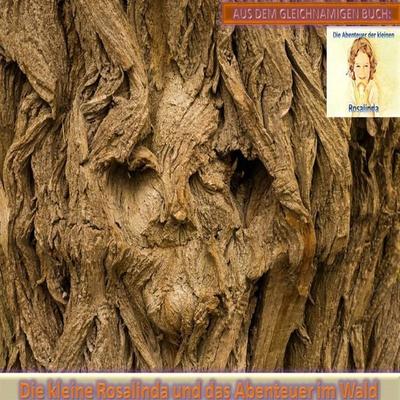 Die kleine Rosalinda und das Abenteuer im Wald - Monika Schuberth, Audio, 4057664658371