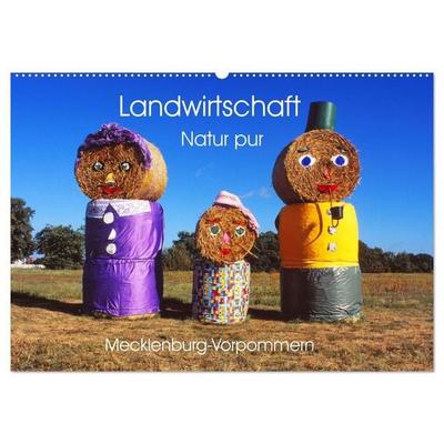 Landwirtschaft Natur pur Mecklenburg-Vorpommern (Wandkalender 2027 DIN A2 quer), CALVENDO Monatskalender