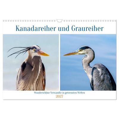 Kanadareiher und Graureiher (Wandkalender 2027 DIN A3 quer), CALVENDO Monatskalender