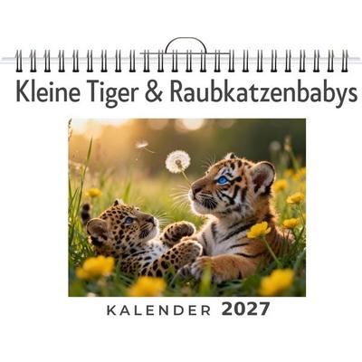Kleine Tiger & Raubkatzenbabys