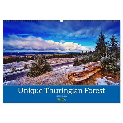 Unique Thuringian Forest (Wall Calendar 2026 DIN A2 landscape), CALVENDO 12 Month Wall Calendar