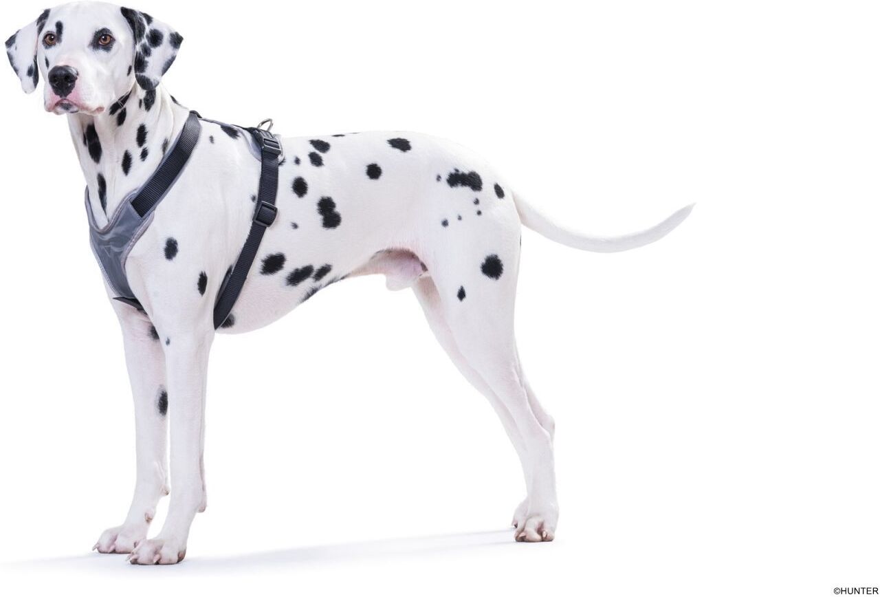 DOG SPORT HUNTER Geschirr Neopren L, schwarz/grau