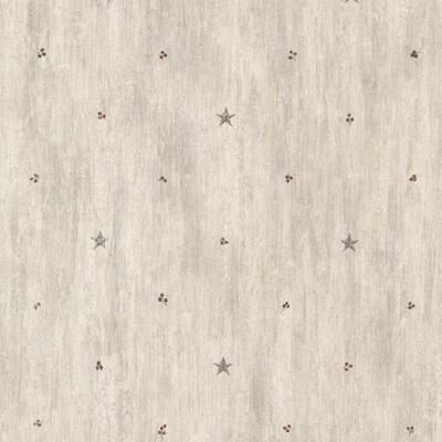 Chesapeake Bryndle Grey Barnstar & Sprigs Wallpaper - 20.5in x 396in x 0.025in