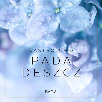 Nastrojowo - Pada deszcz - Rasmus Broe, Audio, 9788726266733