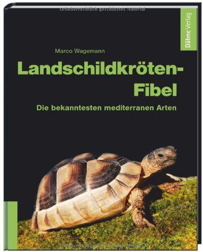 Marco Wagemann - Landschildkröten-Fibel: Die bekanntesten mediterranen Arten - Preis vom 10.10.2026 11:48:34 h
