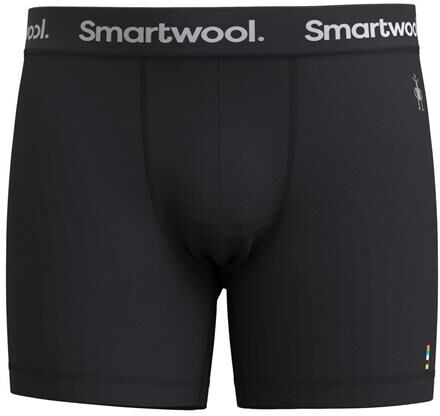 Smartwool Mens Everyday Merino Boxer Brief, Black