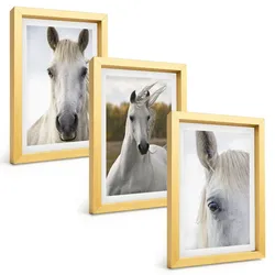 BILDER SET 3er Set - 20x30 cm Goldrahmen - Weiße Pferde in der Natur