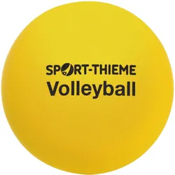 Sport-Thieme, Volleybälle