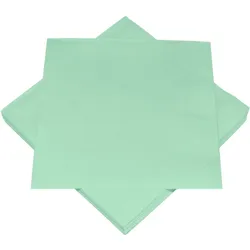 20 Servietten mint 33 x 33 cm