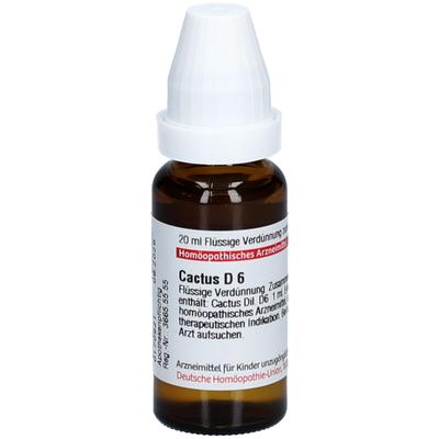 Cactus D 6 Dilution 20 ml