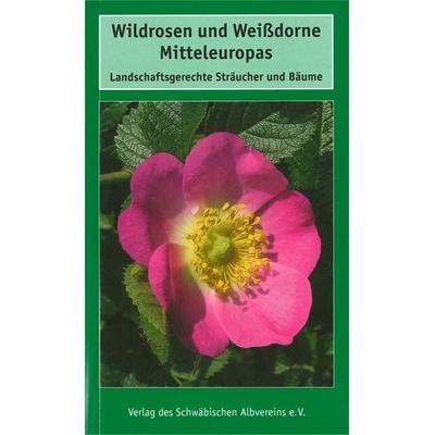 Wildrosen und Weißdorne Mitteleuropas, Taschenbuch von Georg Timmermann,Theo Müller, Schwäbischer Albverein, 978-3-920801-89-6