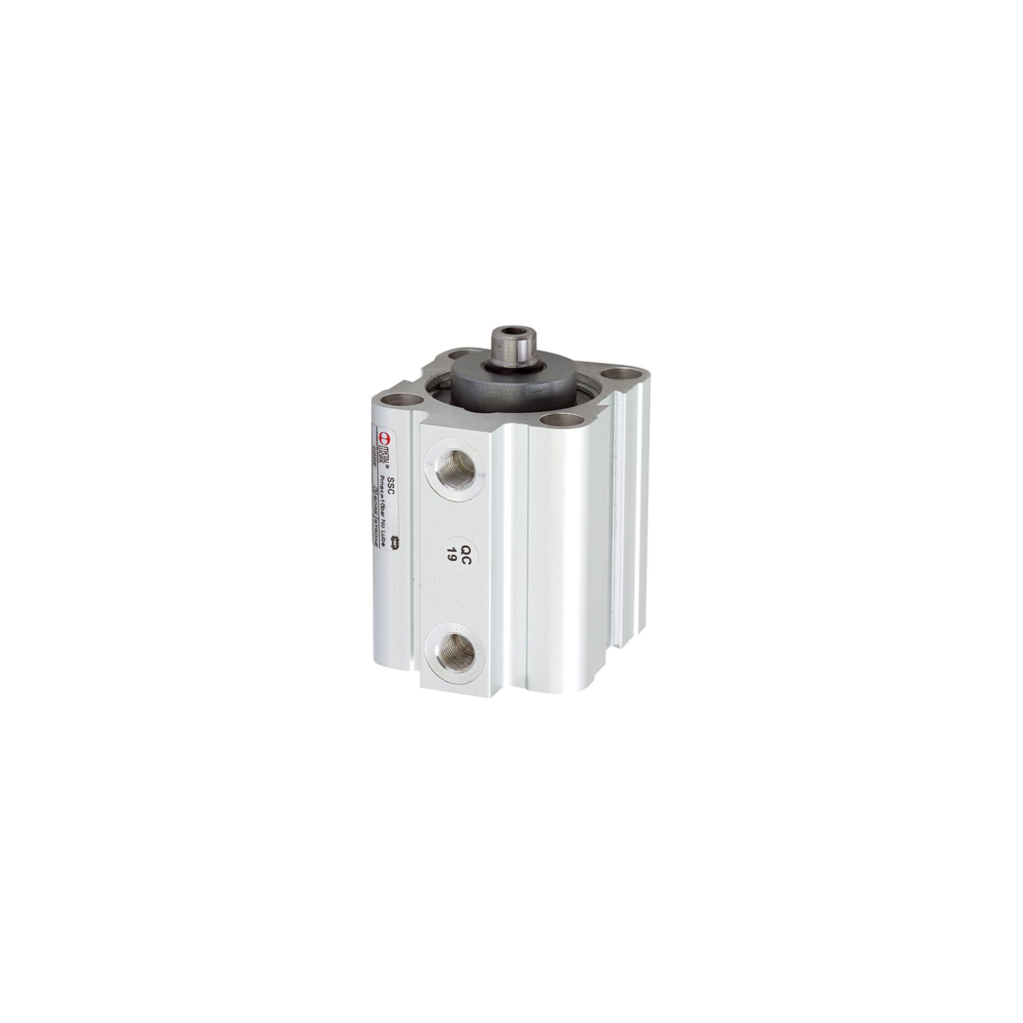 Riegler Kurzhubzylinder, doppeltwirkend, Magnet, Kolben-Ã˜ 12, Hub 5, M5 (3.DM.12005)