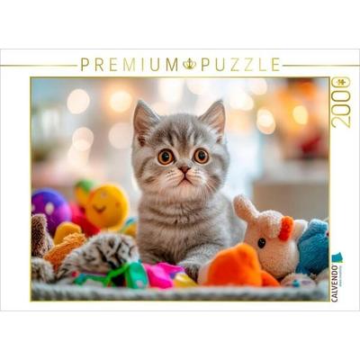 CALVENDO Puzzle Kätzchen im Spielzeugparadies | 2000 Teile Lege-Größe 90x67cm Foto-Puzzle für glückliche Stunden, von , Calvendo Puzzle