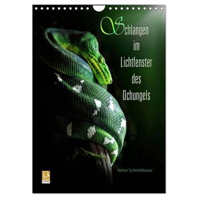 Schlangen im Lichtfenster des Dschungels (Wandkalender 2026 DIN A4 hoch), CALVENDO Monatskalender