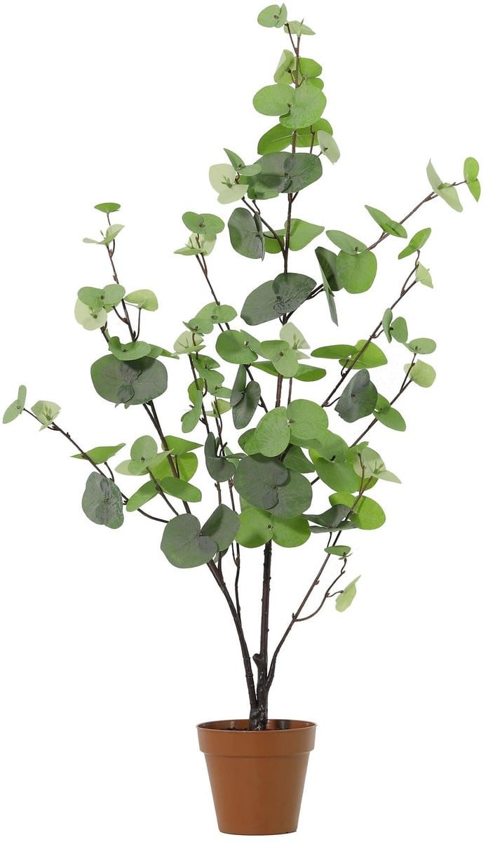 Florafy Kunstplant Eucalyptus Groen 86cm - Onderhoudsvrije kunstplant voor binnen