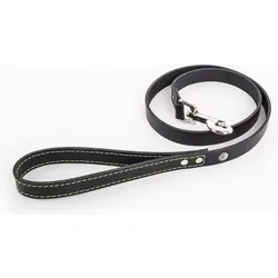 Martin Sellier Flash (Hund, Allgemein, Spazieren), Halsband + Leine