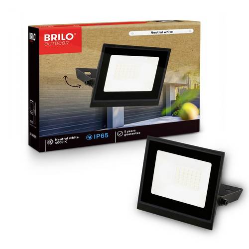 Briloner VARO 4050015 LED-Außenwandleuchte 20W Leuchtfarben: Neutralweiß