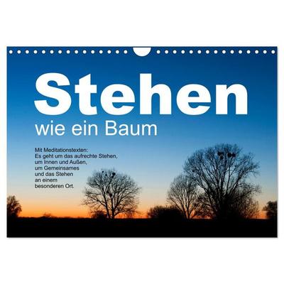 Stehen wie ein Baum (Wandkalender 2026 DIN A4 quer), CALVENDO Monatskalender