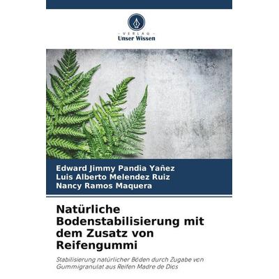 Natürliche Bodenstabilisierung mit dem Zusatz von Reifengummi, Taschenbuch von Edward Jimmy Pandia Yañez,Luis Alberto Melendez Ruiz,Nancy Ramos