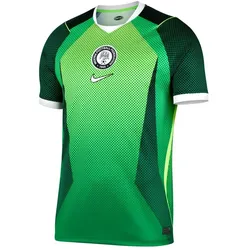 Nike, Unisex, Fussballtrikot, Nigeria Trikot (L), Mehrfarbig