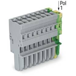 WAGO 769-109/000-036 Federleiste 25 St.