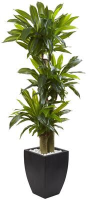 Nearly Natural 5.5-foot Corn Stalk Dracaena With Black Planter