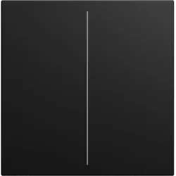 Busch-Jaeger LFW/A.2.55.11-915 Abdeckung, 2-fach, für Keypad, Busch-balance® SI 2CKA006199A0540 LFWA25511915