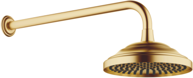Dornbracht Regenbrause 28545977-28 mit Wandanbindung, messing gebürstet