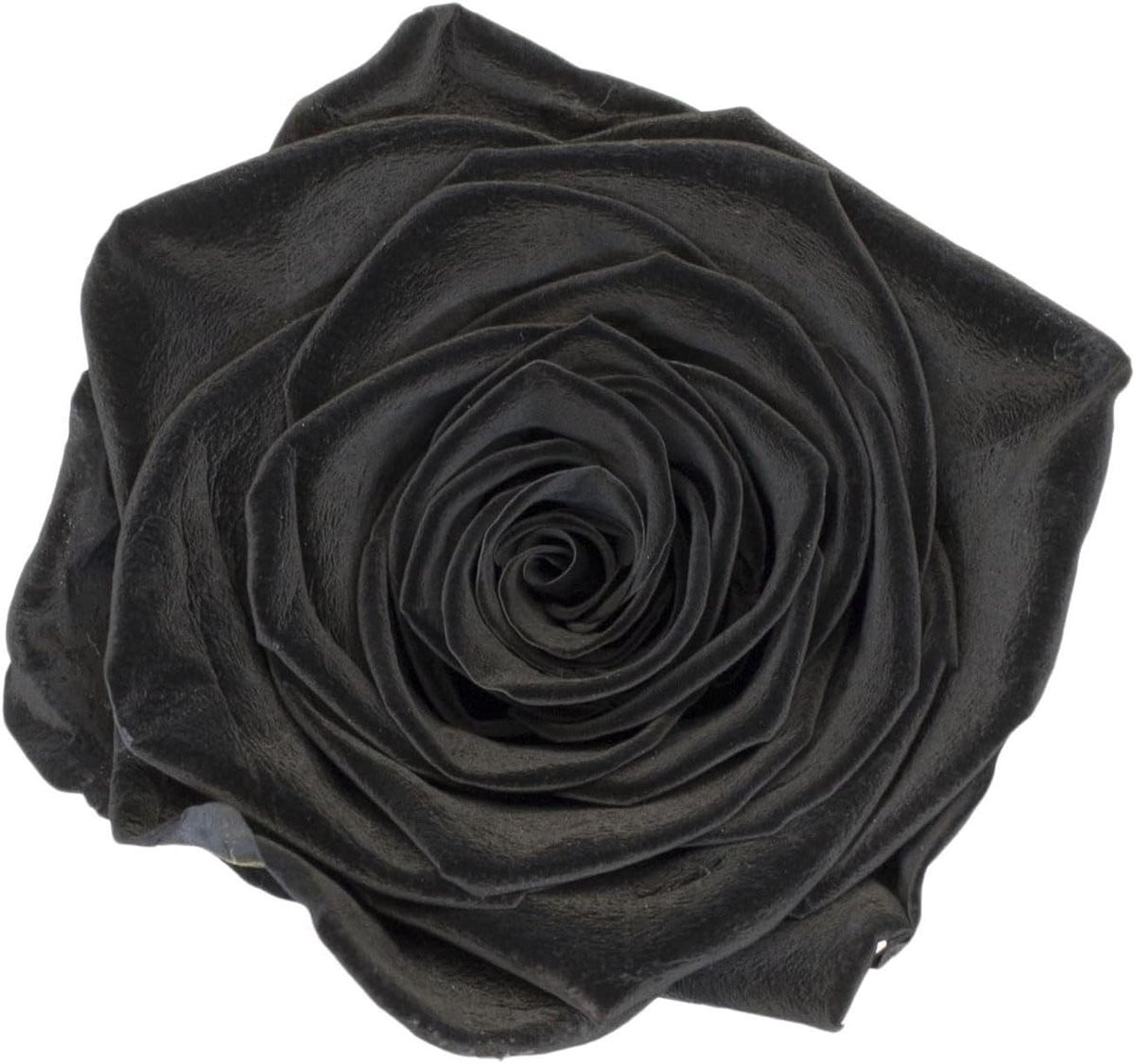 Echte geconserveerde rozenkoppen - Eternal Flowers - Zwart - 4-5 cm