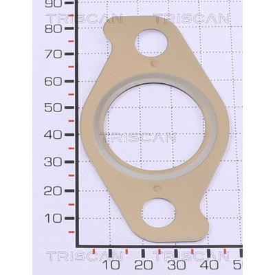 TRISCAN Dichtung 8813 99171 für KIA