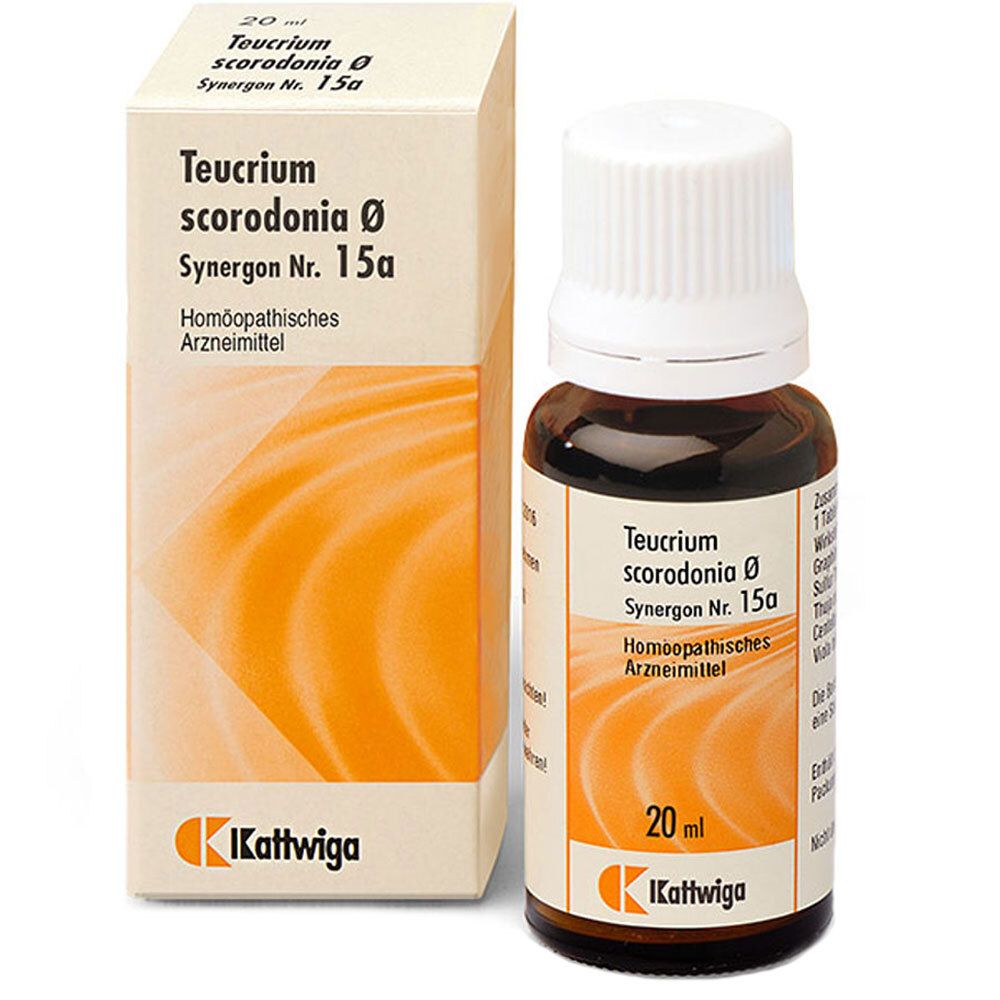 Synergon Komplex 15a Teucrium Tropfen 50 ml