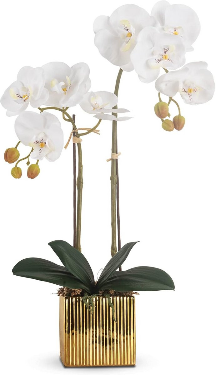 Witte kunstmatige phalaenopsis orchidee in keramische pot - realistische faux bloem voor huisdecoratie
