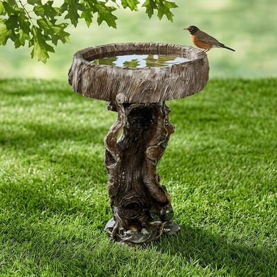 Meedzom 24.4 Inch Resin Tree Trunk Bird Bath Outdoor Garden Decor