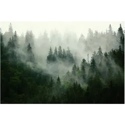 FOTOTAPETE Tiefgrüner Tannenwald im Nebel 336/225 cm