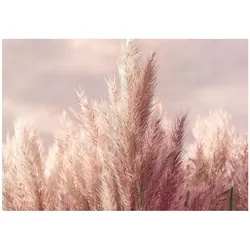 FOTOTAPETE Gras Boho Natur 300x210