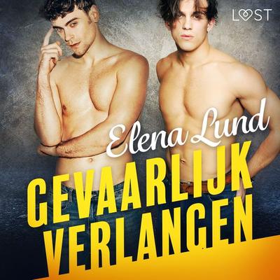Gevaarlijk verlangen - erotisch verhaal - Elena Lund, Audio, 9788726758870
