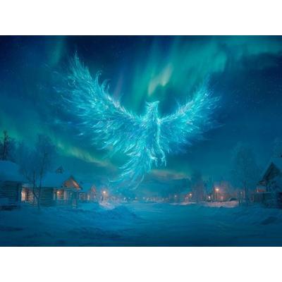 CALVENDO Puzzle Phönix des Nordlichts | 1000 Teile Lege-Größe 64x48cm Foto-Puzzle für glückliche Stunden