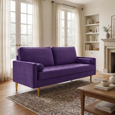 "GDFStudio - Minimalist 65"" Velvet Loveseat with Metal Legs"