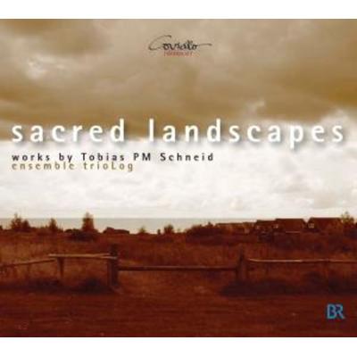 Sacred Landscapes - Ensemble Triolog, CD