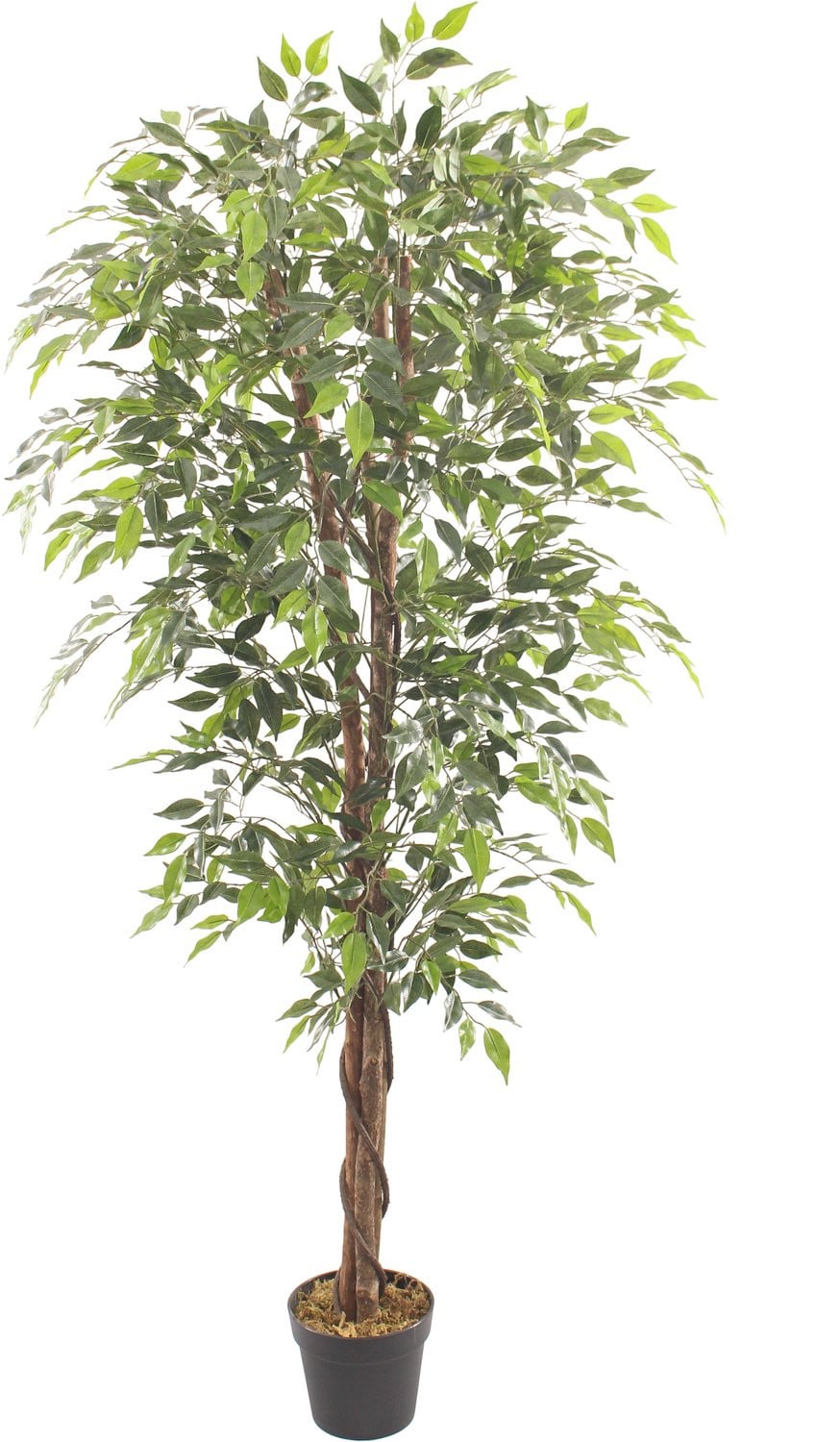 Kunstboom Fica ficus 10 cm