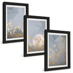BILDER SET 3er Set - 20x30 cm Schwarzer Rahmen - Vögel, die am Himmel fliegen