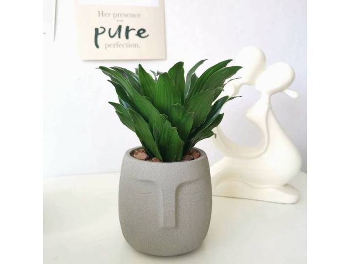 Moule de Pot de fleur en ciment pour visage, moule en béton en Silicone fait à la main, utilisé pour les plantes succulentes, nouveau moule en béton biologique