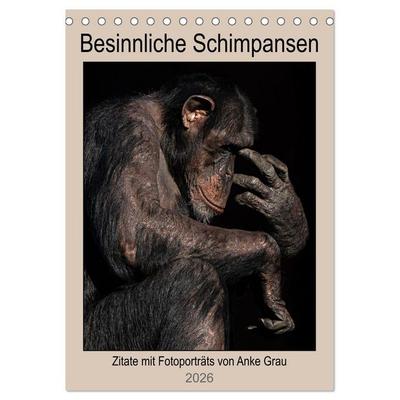 Besinnliche Schimpansen (Tischkalender 2026 DIN A5 hoch), CALVENDO Monatskalender