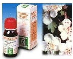 SPECCHIASOL Srl BIANCOSPINO 10 50ML TM SPECCH