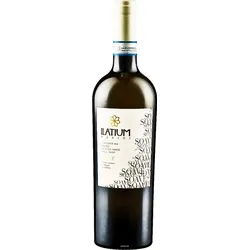 18er Set Latium Morini Soave 2023 - Versandkostenfrei!