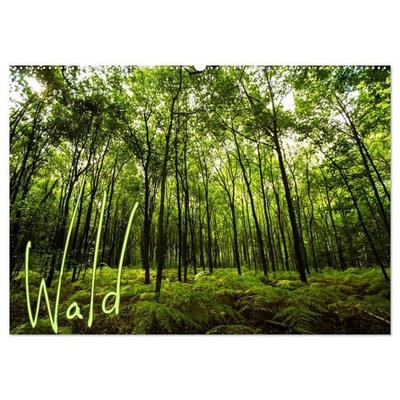 Wald (Wandkalender 2027 DIN A2 quer), CALVENDO Monatskalender